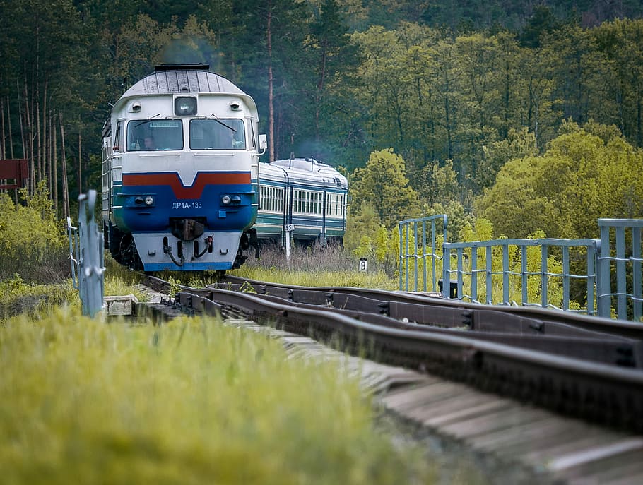 Train before the bridge, white and blue train on rail surrounded by green trees