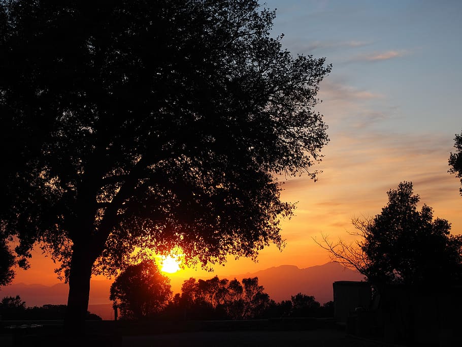 evening sun, afterglow, sky, tree, romantic, sunset, evening hour HD wallpaper