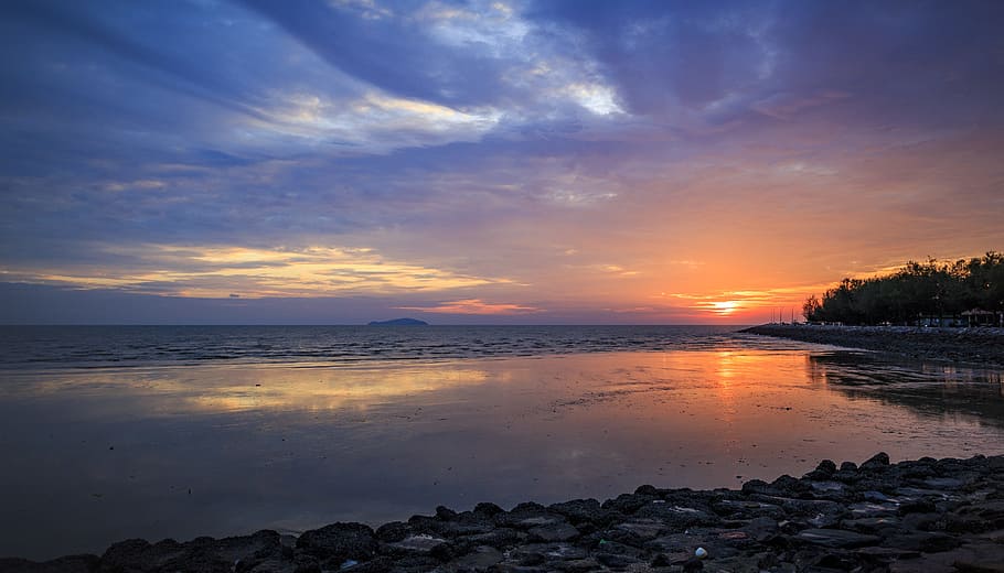 beach near tree, sunset, dawn, water, dusk, nature, sky, panoramic HD wallpaper