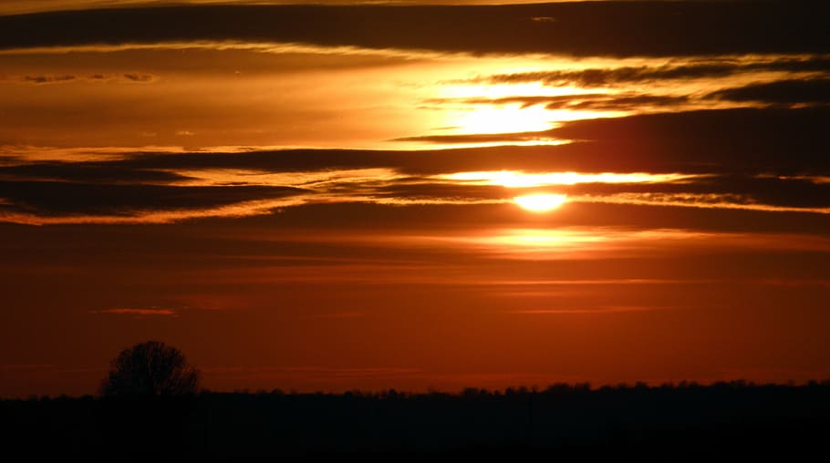 sunset, clouds, light, tree, background, sky, nature, cloudscape HD wallpaper