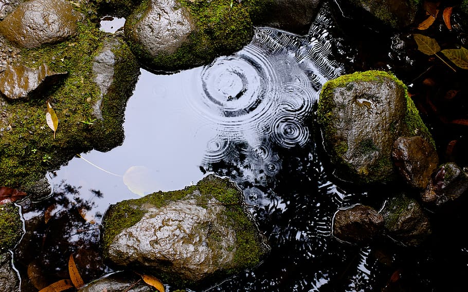 water, puddle, rocks, wet, rain, raining, droplets, nature HD wallpaper