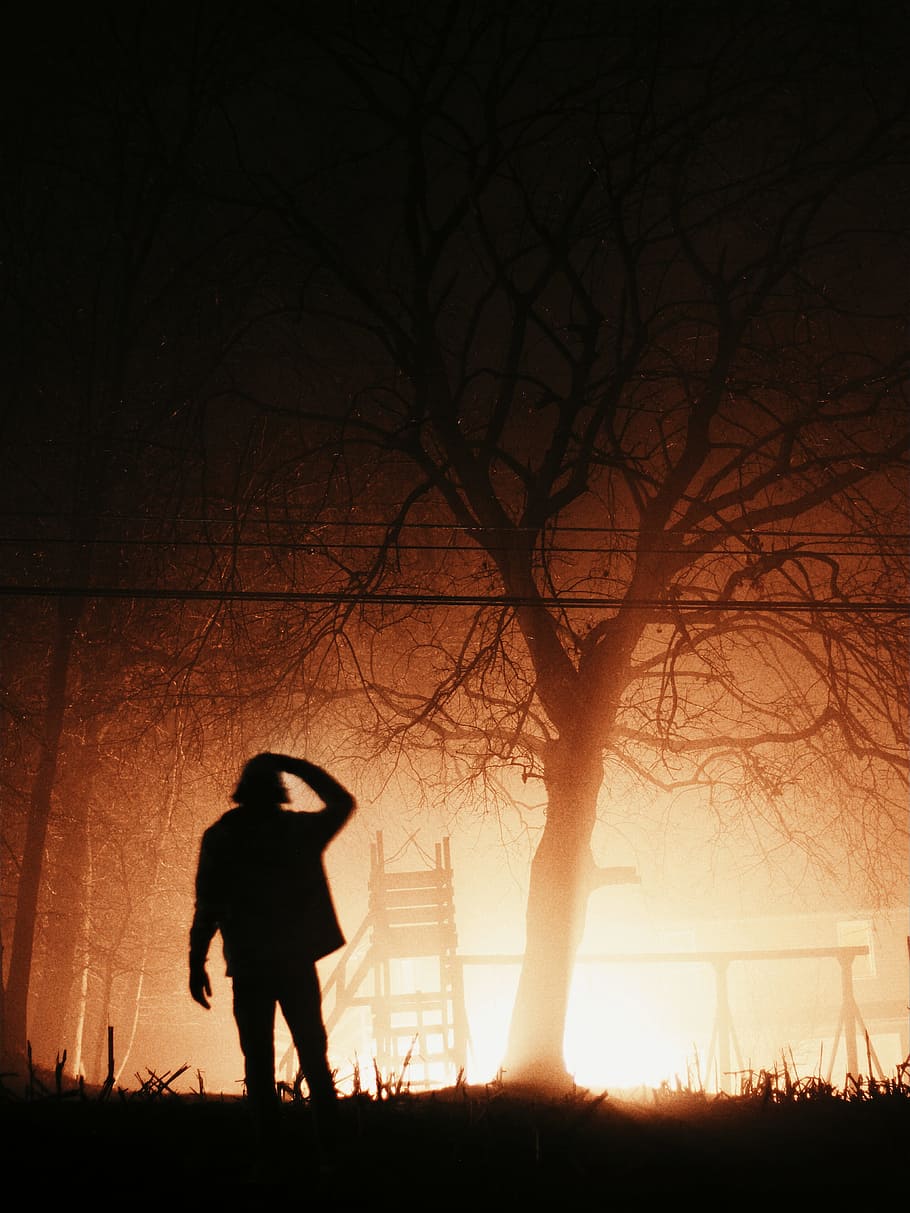 silhouette photo of person standing under the bare tree, silhouette of standing man near baretree HD wallpaper