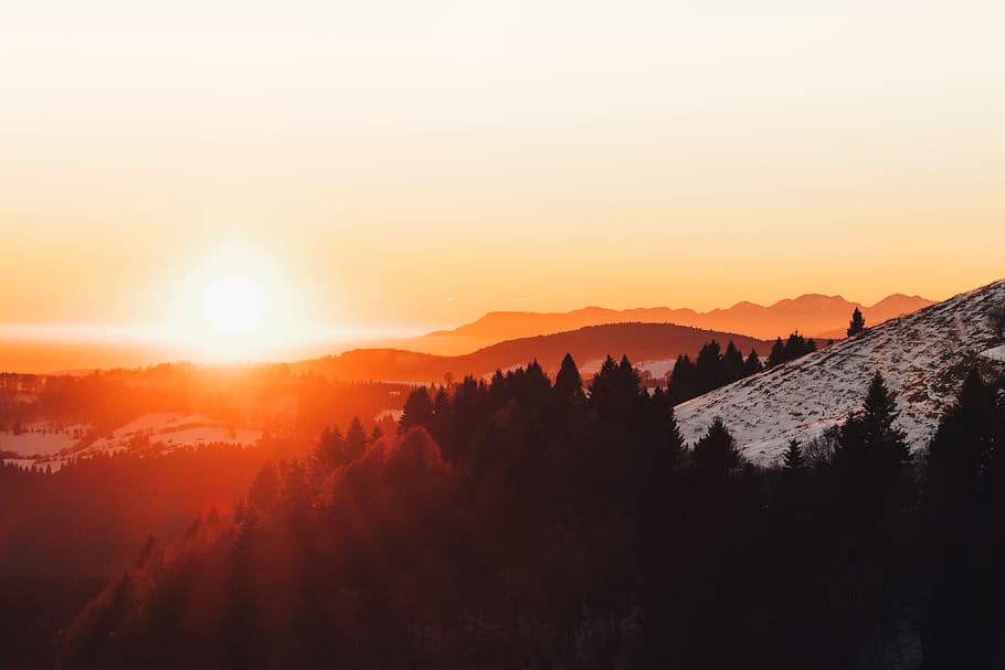 landscape, forest, sunset, sky, mountain, beauty in nature HD wallpaper