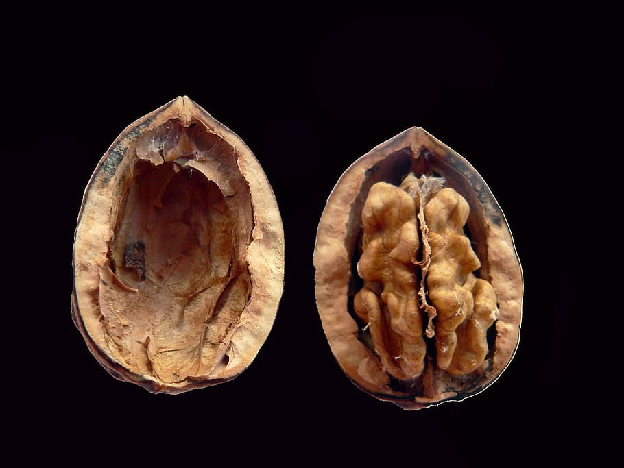 walnut surrounded by dark, Cracked, Kernel, Edible, Nuts, food HD wallpaper