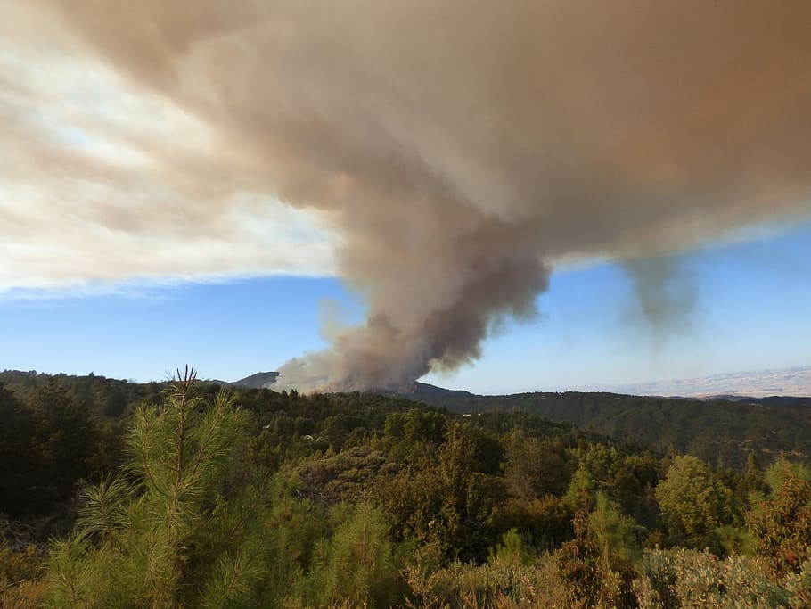 Forest Fire, Smoke, Wildfire, Loma Fire, disaster, nature, blaze HD wallpaper