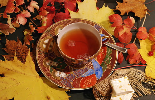 cup of tea, tee, tea time, teacup, hot, autumn, autumn colours HD wallpaper