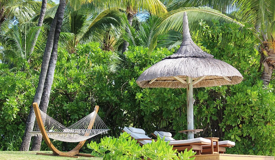 Hammock, Parasol, Palm Trees, thatched roof, day, nature, no people HD wallpaper