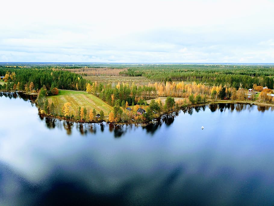 lake, beach, landscape, forest, field, sky, scenics - nature HD wallpaper