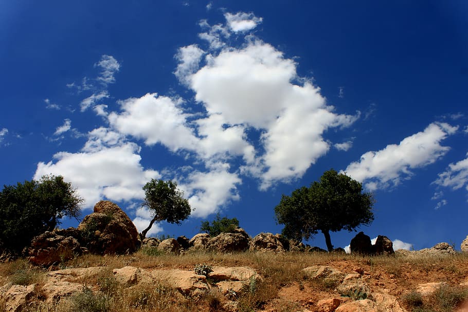 landscape, nature, cloud, turkey, trees, yeşilli, mardin, rocky HD wallpaper