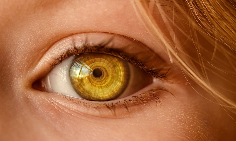 person's yellow eye, look, eye open, to watch, observe, view