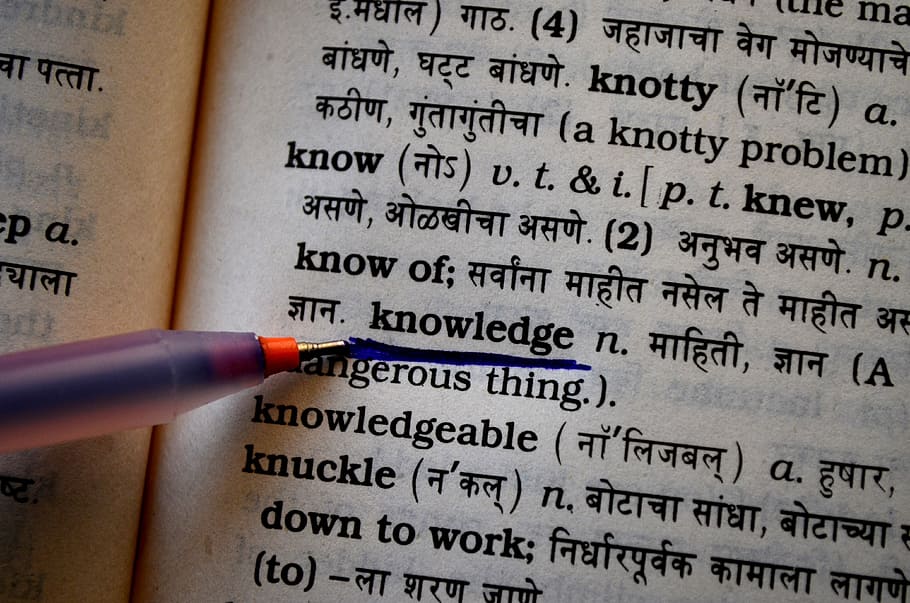 person highlighting knowledge word on book page, dictionary HD wallpaper