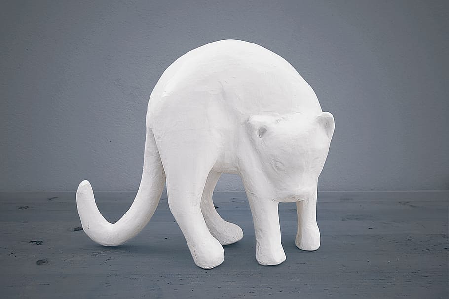 cat plaster, white cat, blue background, color, screen saver HD wallpaper