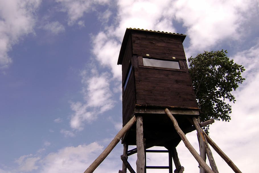 Hunter, Fish, Lookout, Animals, Shoot, wooden, cloud - sky HD wallpaper