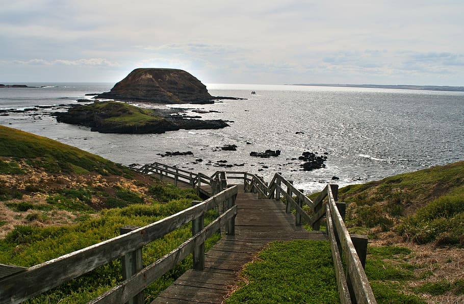 great ocean road, web, gradually, sea, coast, grass, rock, rocky coast, HD wallpaper