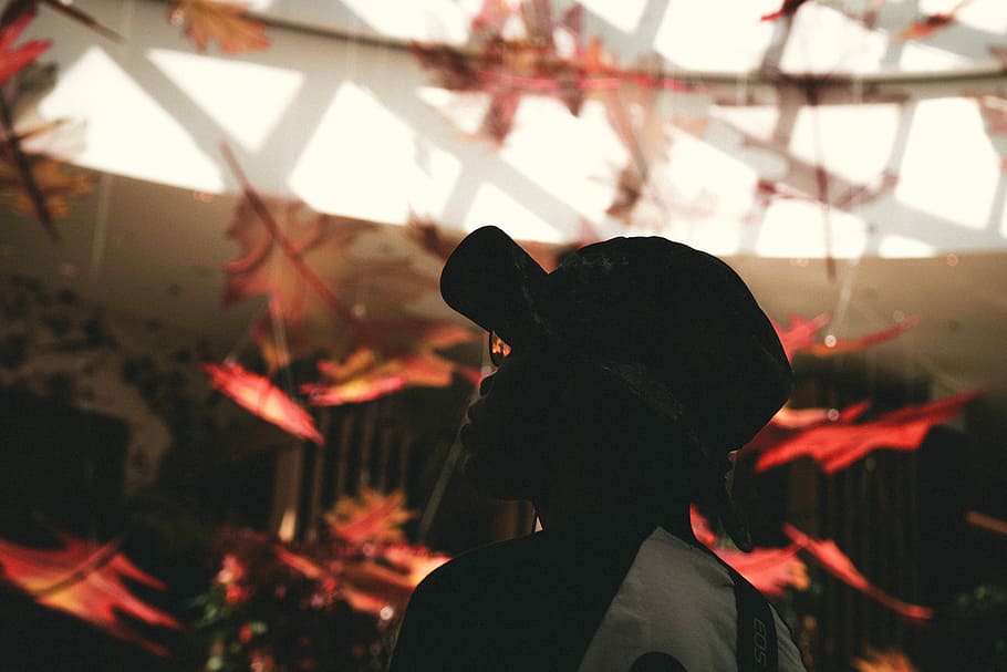 man wearing white shirt, closeup photo of man wearing hat, leaf HD wallpaper