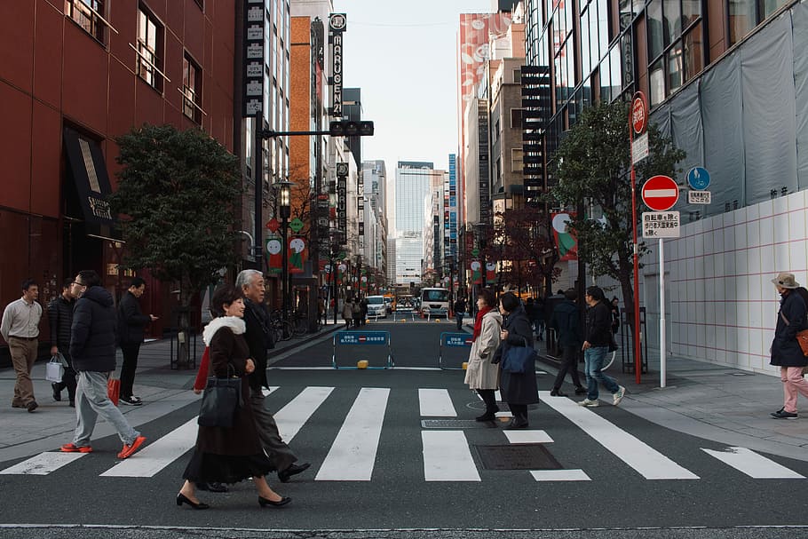 people crossing on road between buildings during daytime, people walking on pedestrian lane, HD wallpaper