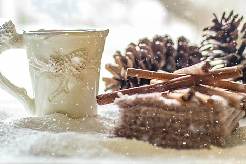 brown pinecones in shallow photography, pine cones, snow, winter HD wallpaper