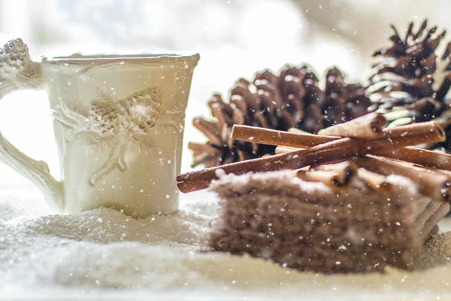 brown pinecones in shallow photography, pine cones, snow, winter HD wallpaper