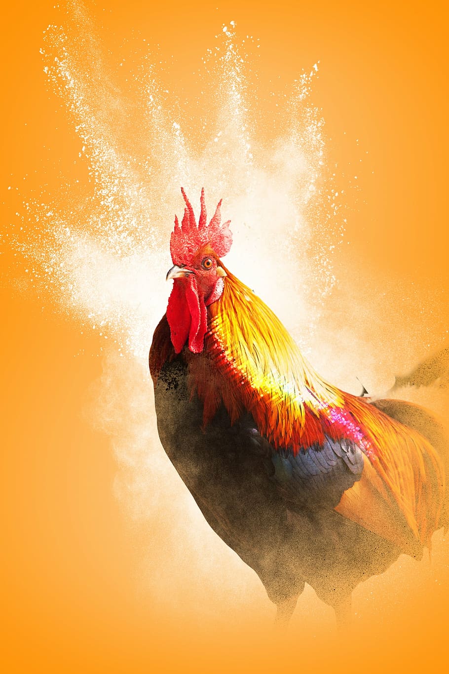 HD wallpaper red and yellow rooster wallpaper cock year of the rooster  bird  Wallpaper Flare