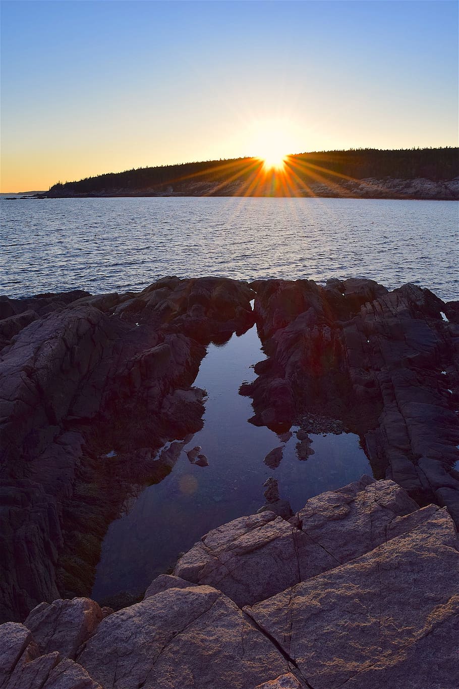 sunset, rocks, water, pine trees, maine, nature, landscape HD wallpaper
