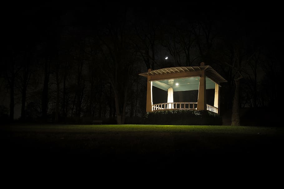 dark, gazebo, grass, light, moon, night, tree, plant, architecture HD wallpaper