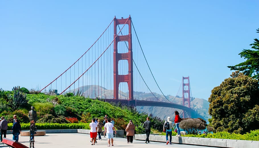 golden gate bridge, sf, ca, california, landmark, city, usa, HD wallpaper