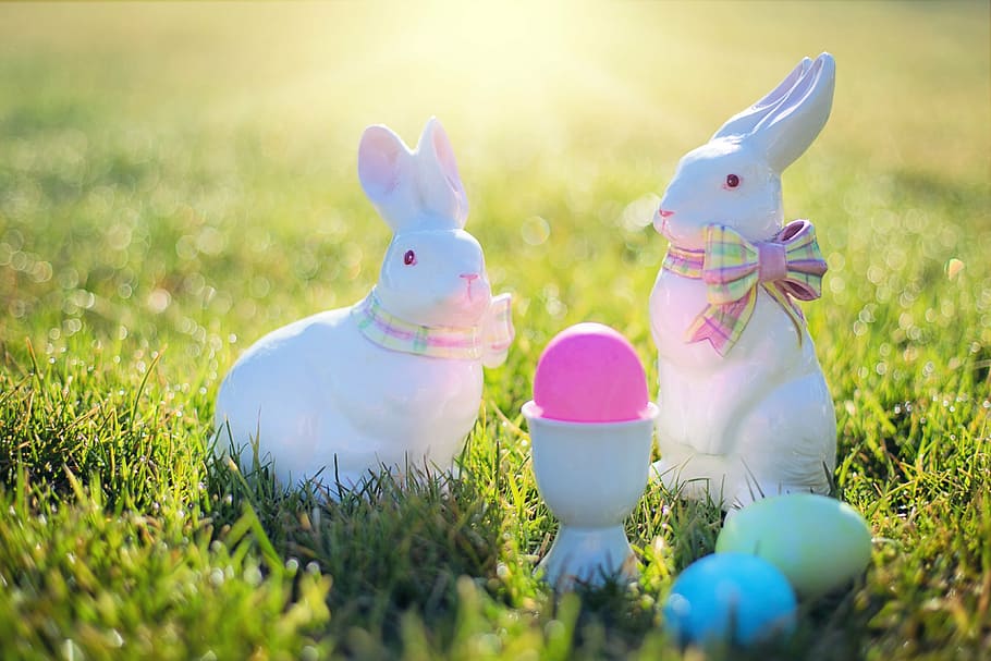 two white rabbit ceramic figurines on green grass field during daytime HD wallpaper