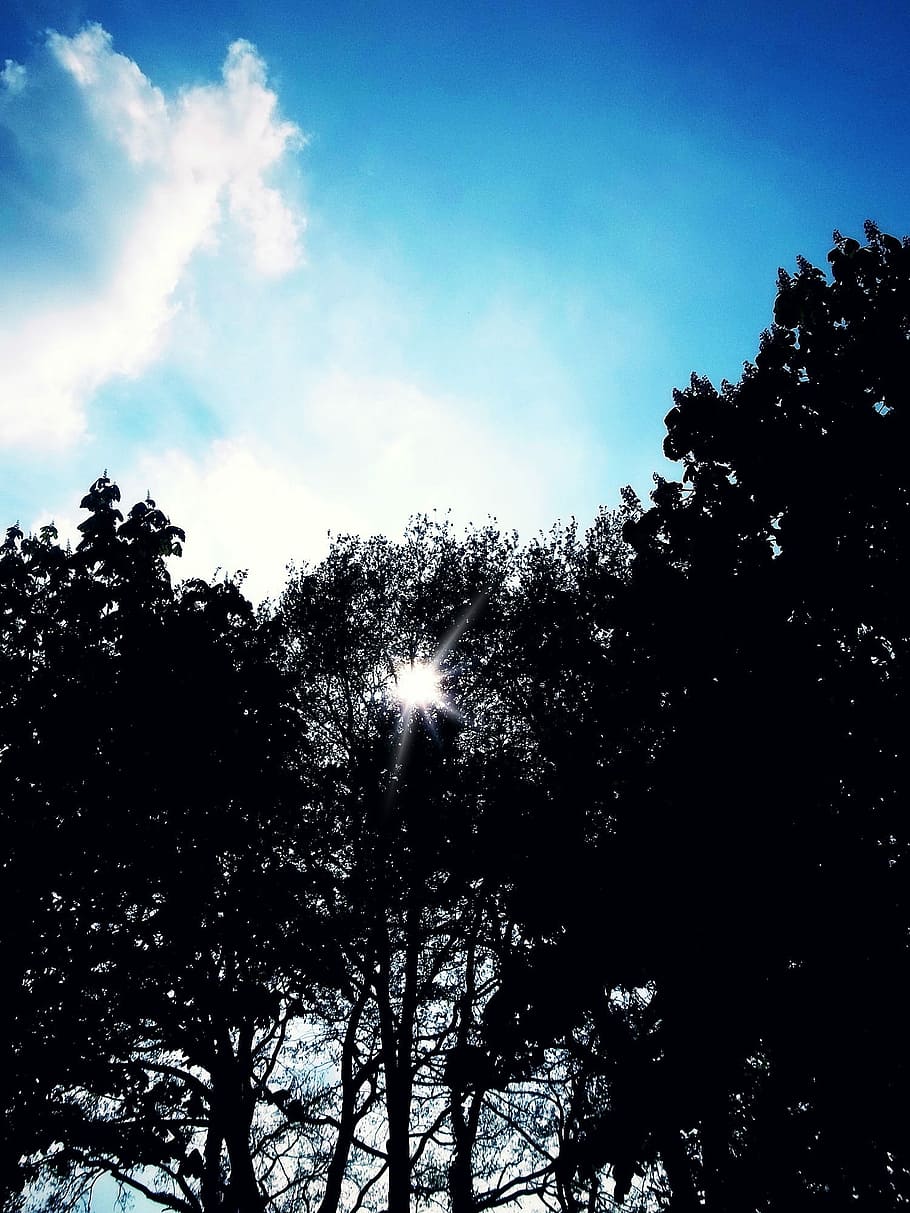 Sun, Trees, Silhouette, Clouds, sky, mood, back light, romance HD wallpaper