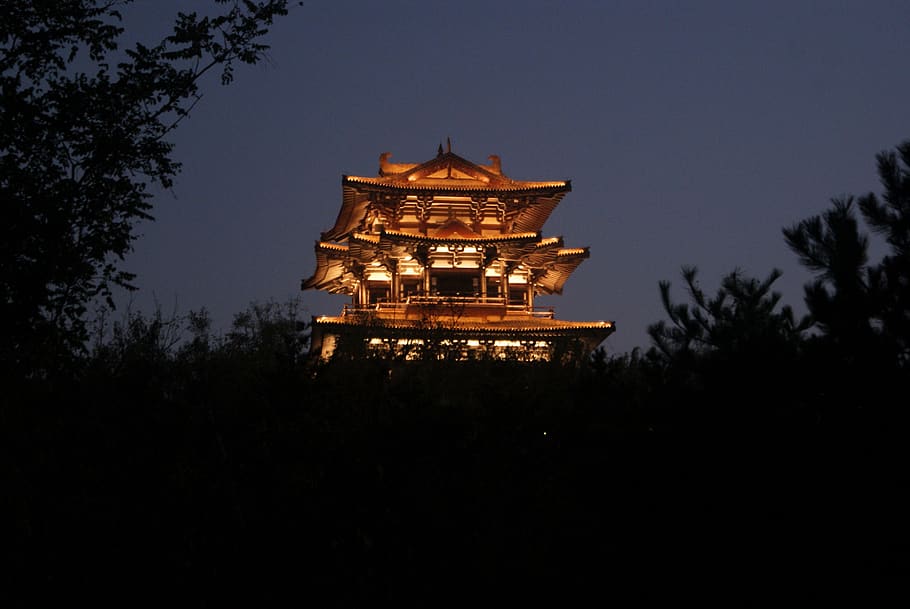 temple, night view, building, tree, illuminated, plant, low angle view HD wallpaper