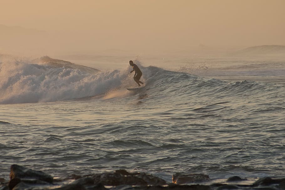 morning, surfer, beach, sea, water, aquatic sport, motion, real people HD wallpaper