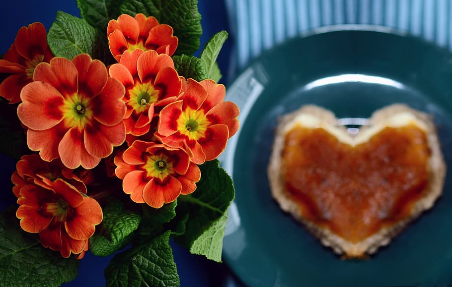close up photography of orange flowers, primroses, bread, plate HD wallpaper