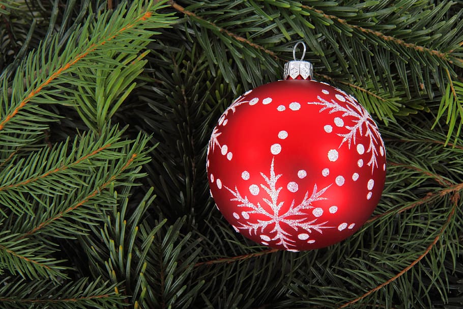 red and grey snowflake printed ornament on Christmas tree, background HD wallpaper