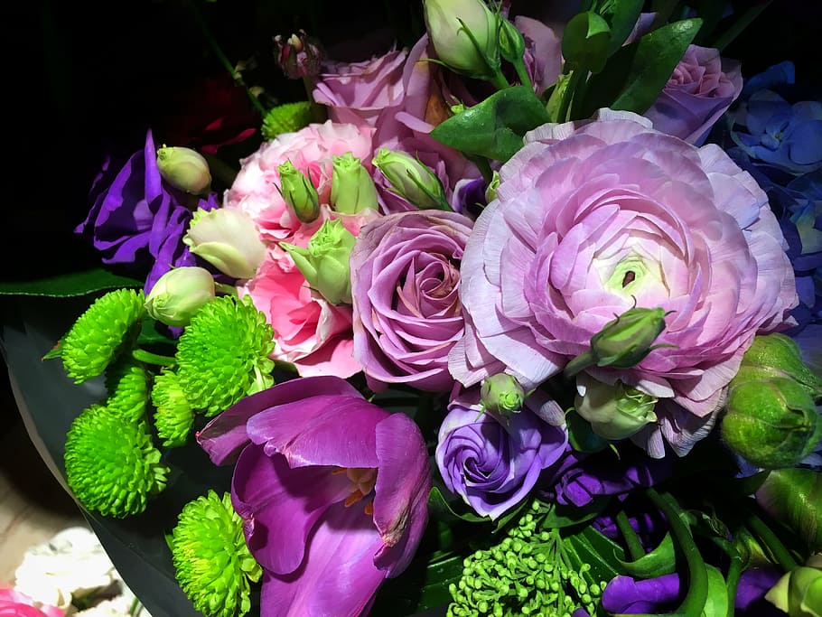 flower, spring, romantic, flowering plant, freshness, petal HD wallpaper