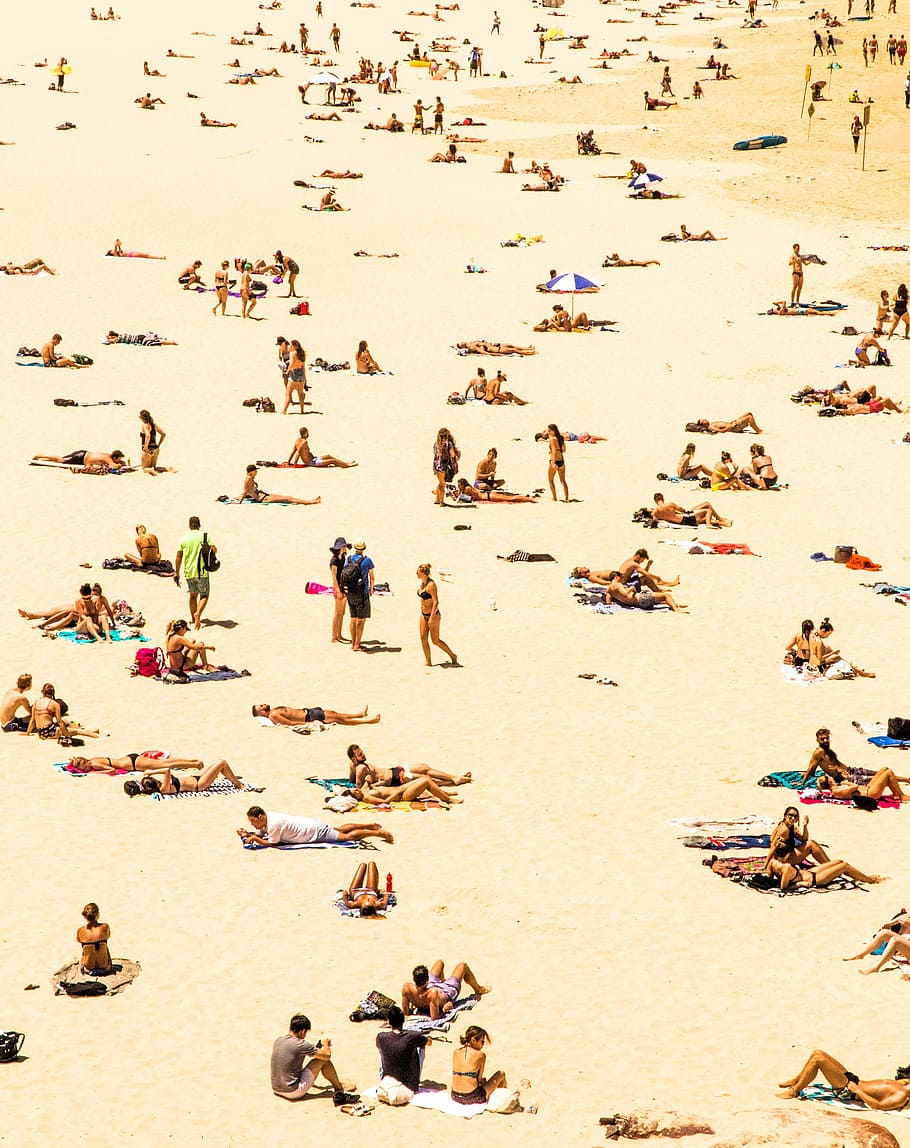 group of people on beach, sea, white, sand, shore, sunny, day HD wallpaper
