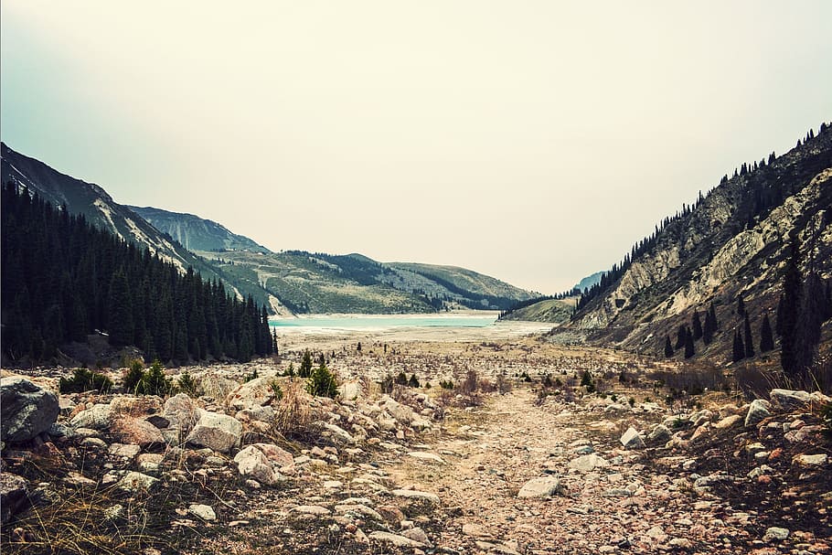 mountains, wilderness, trees, water, nature, landscape, rocks HD wallpaper