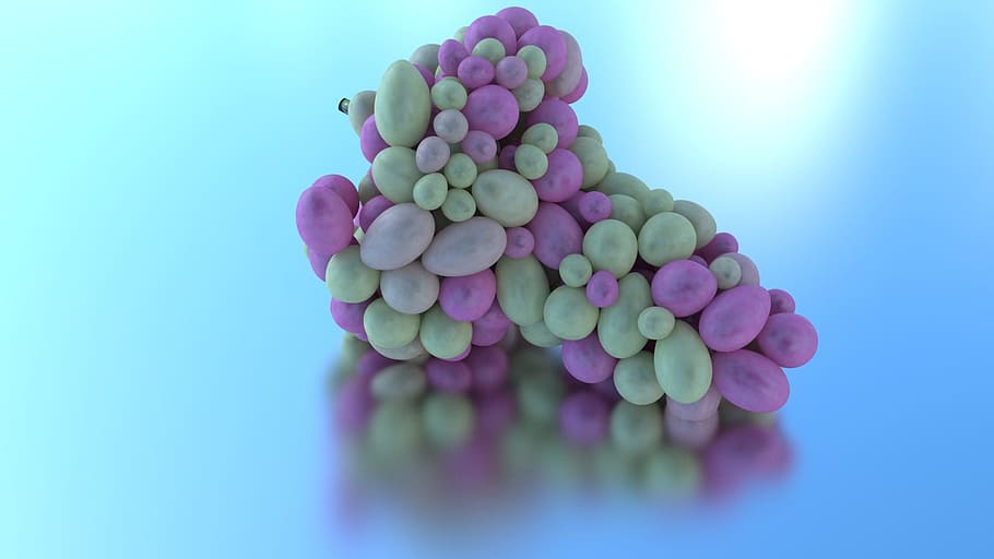 grape, 3d, blender, modeling, olivier, girard, youtube, studio shot HD wallpaper