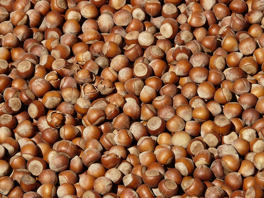 brown nuts, hazelnuts, open, shells, market, food and drink HD wallpaper