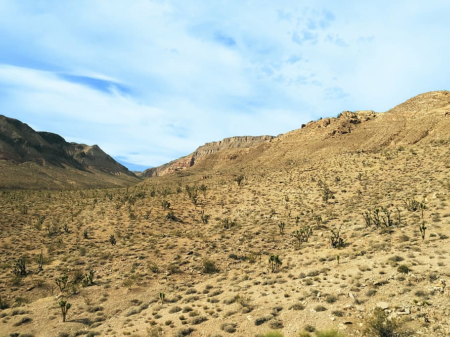 desert, valley, rocks, mountains, hill, landscape, dry, vegetation HD wallpaper
