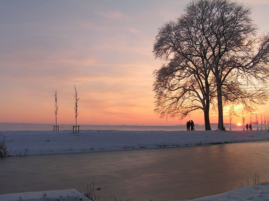 Winter, Ice, Trees, Snow, Sunset, nature, beach, dusk, sea HD wallpaper