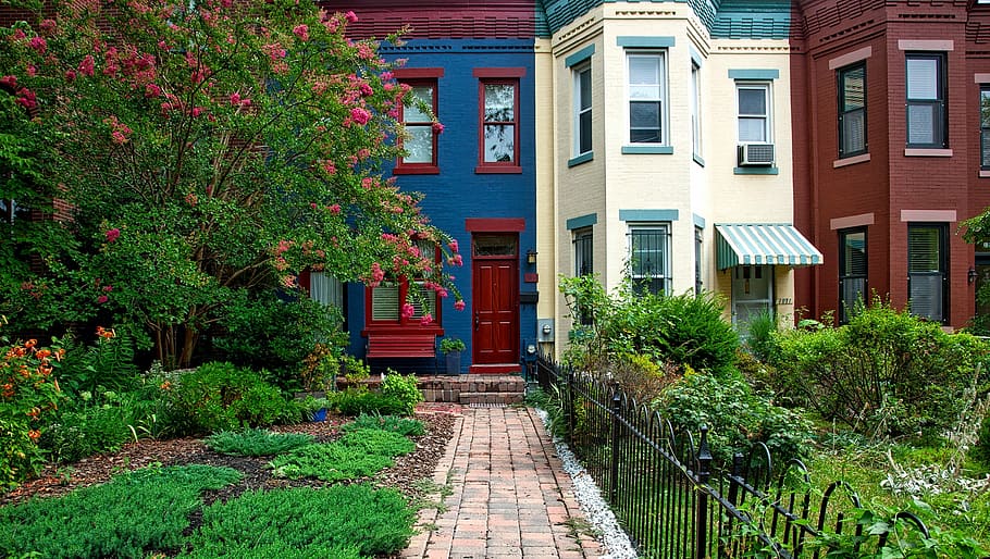 blue house beside brown house photo, washington dc, city, cities HD wallpaper