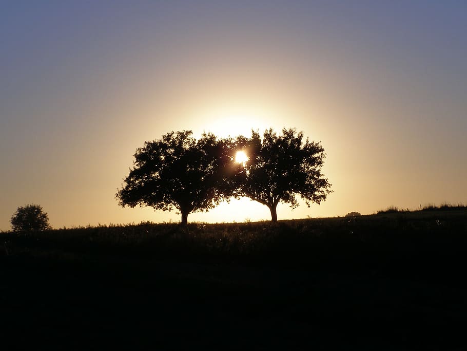 sunset, west, landscape, evening, the sun, view postcard, tree HD wallpaper