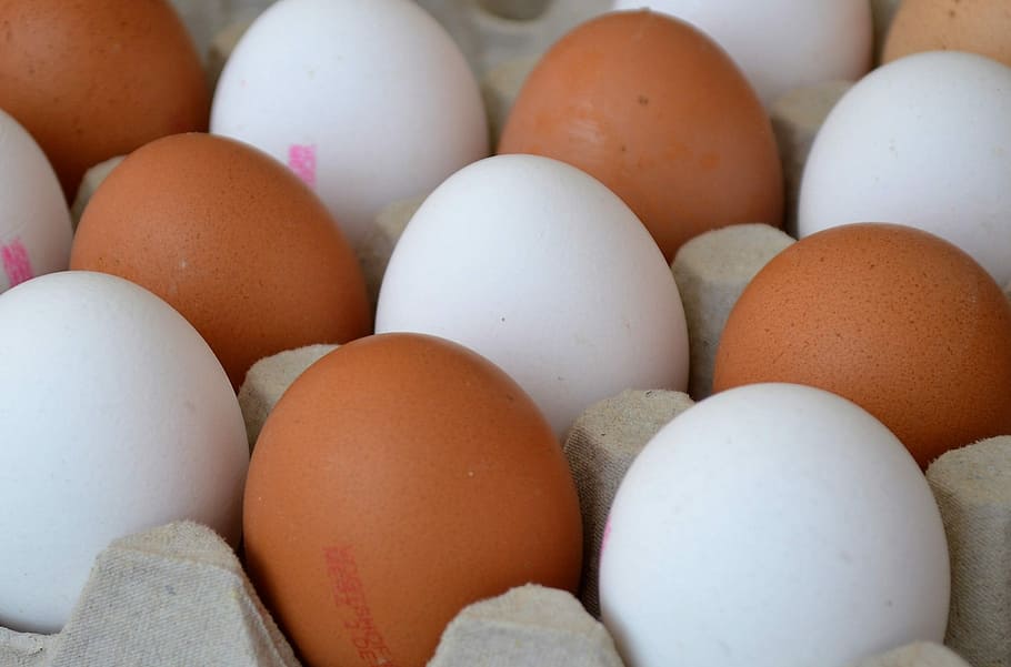 easter, egg shell, food, food and drink, brown, freshness, large group of objects HD wallpaper