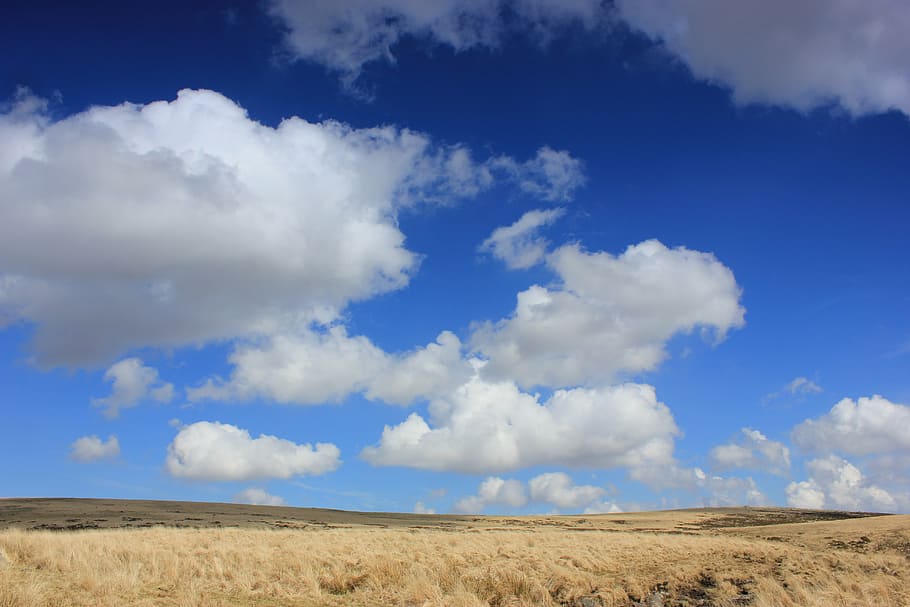 sky, landscape, grass, cloud - sky, environment, blue, nature HD wallpaper