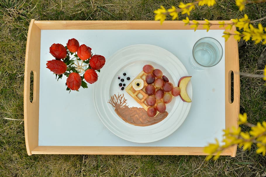 breakfast, creative, fish, fruit, rose, strawberries, laburnum HD wallpaper