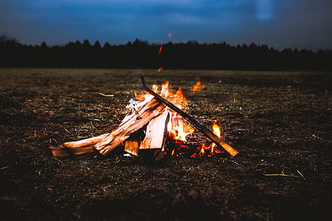 bonfire at the center of vacant lot, Camp, Campfire, Campsite HD wallpaper