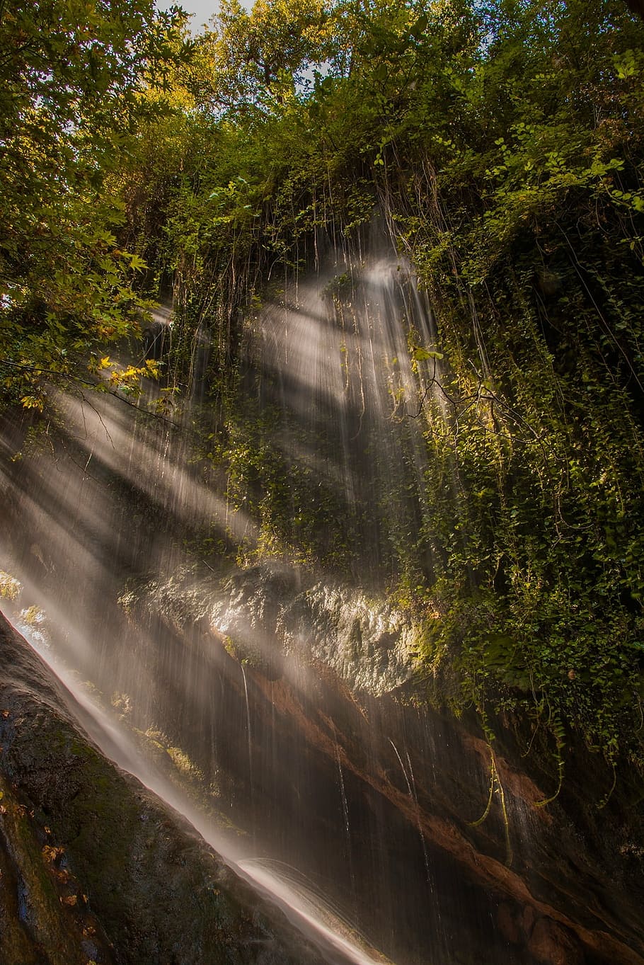 landscape, lighting, natural, tree, motion, water, plant, scenics - nature HD wallpaper