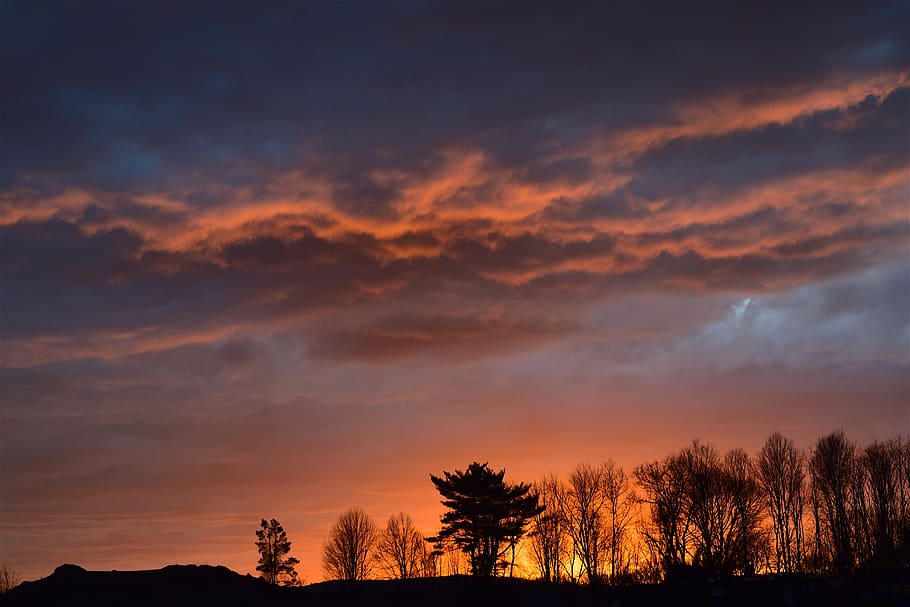 sunset, trees, landscape, winter, clouds, sky, colorful, orange HD wallpaper