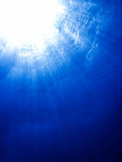 untitled, below, beneath, blue, deep, dive, diving, light, ocean HD wallpaper