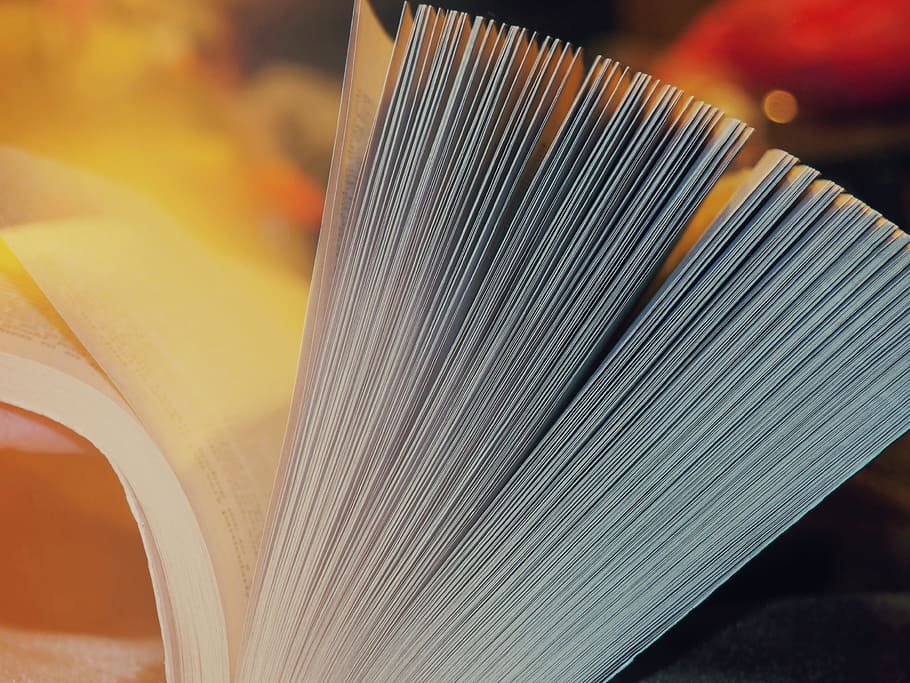 closeup photography of book, page, sheets, motion, abstract HD wallpaper