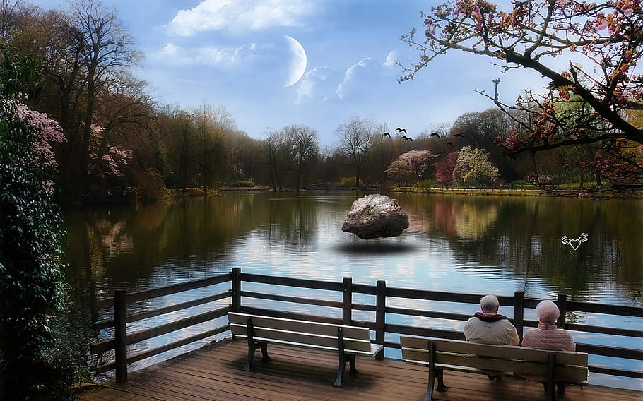 tree, nature, waters, reflection, lake, park, landscape, bridge HD wallpaper